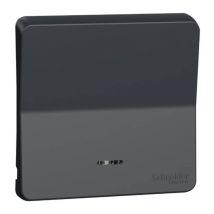 Schneider Electric - Enjoliveur Avec Lentille Ip55 Ik07 - Gris Anthracite - Mureva Styl