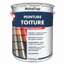 Peinture Toiture - Metaltop - Gris Mousse - Ral 7003 - Pot 5l
