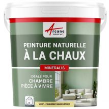 Arcane Industries - PEINTURE A LA CHAUX NATURELLE ET SAINE - NUANCES MINERALES CHAUX - 60 m² (2x5 kg en 1 couche) - Fenugrec Jaune Moyen - ARCANE 