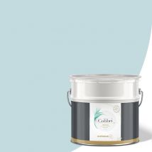 Peinture Murs Et Plafonds Bleu Air, Mate 12l, Peinture Biosourcée Colibri