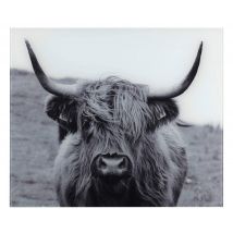 Plaque De Protection, 50 X 60 Cm, Venko, Wenko