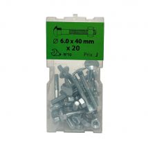 Boite 20 Boulons Trcc 6 X 40mm Zingué - Viswood