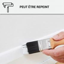 Mastic Colle Ms Polymère, Étanchéité Des Sols Et Murs : Arcamastic Polymère Transparent - 290 Ml X 5 - Arcane Industries