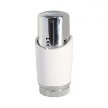 Somatherm For You - Tête De Robinet Thermostatique Droit Mâle Plastique Blanc