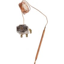 Thermostat De Réglage - Cotherm