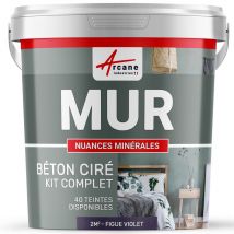 Béton Ciré - Kit Béton Ciré Murs - 2 M² - Satinée - Figue - Arcane Industries