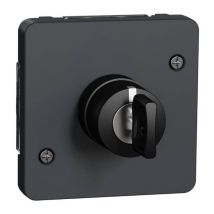 Schneider Electric - Interrupteur À Clé 3 Positions Ip55 Ik07 - Composable - Gris Anthracite - Mureva Styl