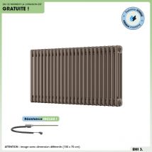 Otitec - Radiateur Électrique Mixte Avec Résistance Inclus | Emi 3 - Crème | 1200 W | 75 X 145 Cm