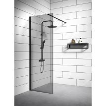 Paroi de Douche Rizani - 70 x 200 cm - Badplaats - Noir - Verre teinté