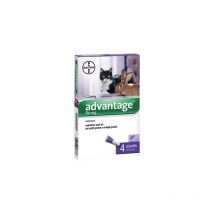 Antiparassitario Advantage Gatti Bayer Kg 4+ Cf=pz 4