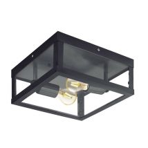 Eglo - Alamonte-plafonnier D'extérieur 2 Lumières Métal L29cm -