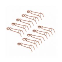 Lot de 10 Pièges à taupe 'Putange'