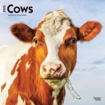 Cows Calendar 2025