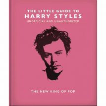 Little Guide To Harry Styles