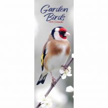 Garden Birds Slim Calendar 2026