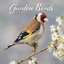 Garden Birds Calendar 2026