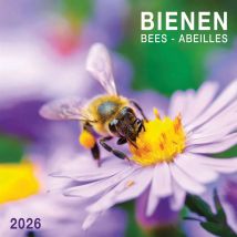 Bees Calendar 2026
