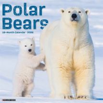 Polar Bears Calendar 2026