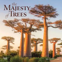 The Majesty of Trees Calendar 2026