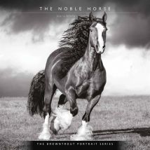 The Noble Horse, Black and White Calendar 2026