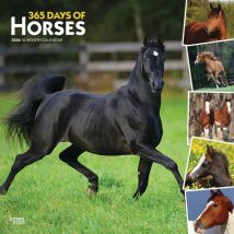 365 Days Of Horses Calendar 2026