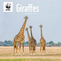 WWF, Giraffes Calendar 2026