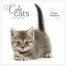 Cute Cat's Calendar 2026