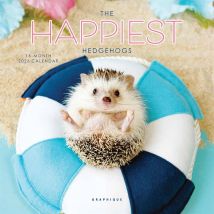 The Happiest Hedgehogs Mini Calendar 2026