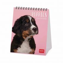 Puppies Easel Desk Calendar 2026