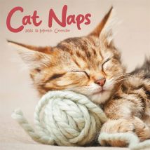 Cat Naps Calendar 2026
