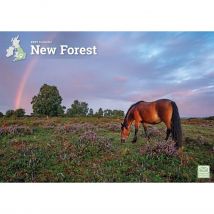 New Forest A4 Calendar 2027