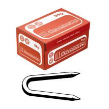 5kg punte cambrette 12x20 "cavatorta" cod:ferx.4556