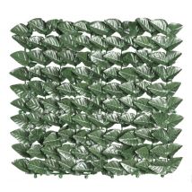 1pz arelle sempreverdi lauro botton mt 1,5x3 cod:ferx.91957