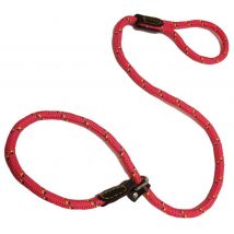 6pz guinzaglio nylon tondo strangolo largh. mm 12 cod:ferx.92698