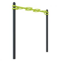 Snake Barre Street Workout