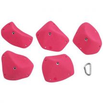 Lot de 5 - Prise D'escalade - Entre Prises - Absolute Marc's Slopers Xl