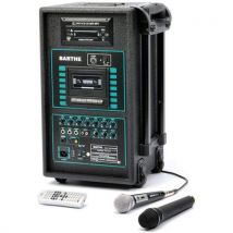 Sono 120 Usb Barthe, Micro Main Uhf