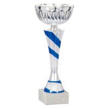 Coupe Economique - Argent/bleu