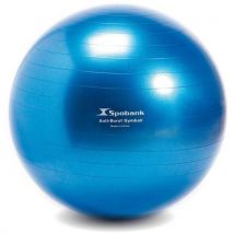 Balle de Fitness Antiburst Ø 75 cm Bleu PVC - Musculation et Entraînement
