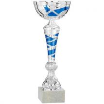 Coupe Argent Et Bleu En Relief