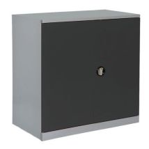 Anjou Tolerie - Armoire basse Acier 1000x580x1000mm Gris clair/Anthracite - Livrée montée - 7 ans garantie