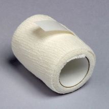 Bande Bendhaft Phyto Performance: 6cm X 4m