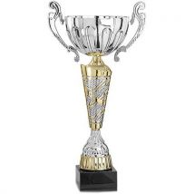 Coupe Argent Et Or - Premium