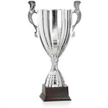 Coupe En Métal Argent - Luxe - 53cm
