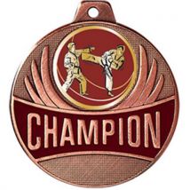 Médaille Karaté - Champion - 50mm