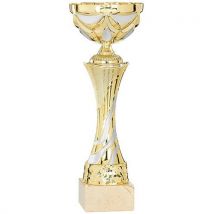 Coupe Or Et Argent En Relief