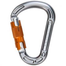 Mousqueton Escalade - Climbing Technology - Concept Wg Gris