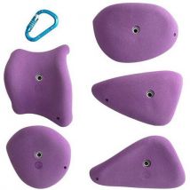 Lot de 5 - Prises D'escalade - Flakes Jugs Xl - Entre-prises