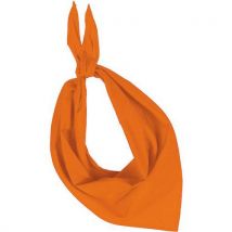 Foulard Eco De Couleur