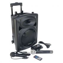 Sono Portable Port10uhf-bt - Usb Bt Tws 2 Micros - Ibiza Sound